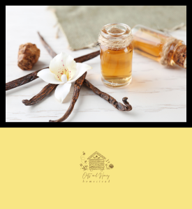 picture of vanilla pods, flower and small bottles of vanilla extract