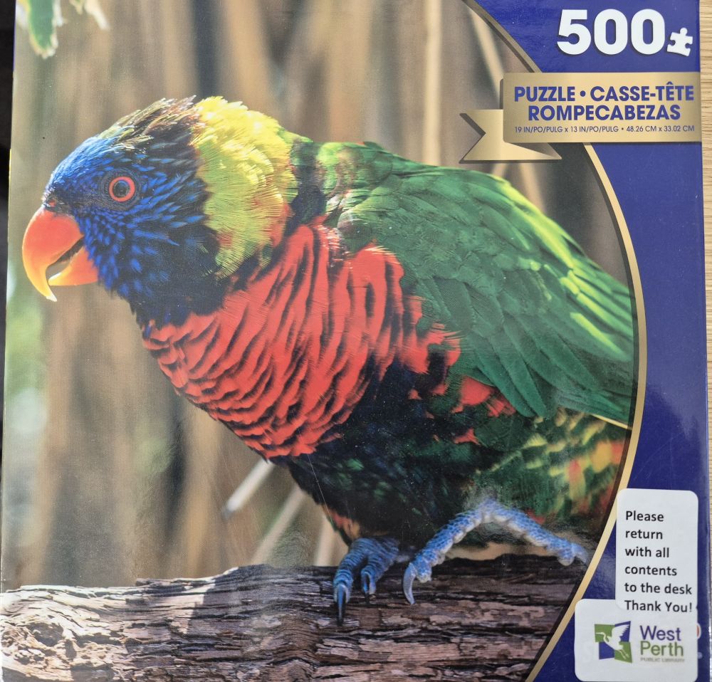 Sunbathing Lorikeet Sunbathing Lorikeet