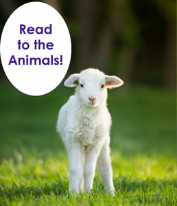 picture of a lamb standing in a field of grass; speech bubble from the lamb says Read to the Animals