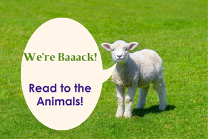 Picture of a lamb standing in a field of grass; speech bubble from the lamb says "We're Baaack!"