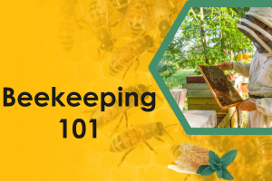 photograph of a beekeeper in beekeeping suit at a beehive