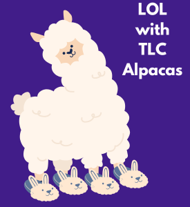 Illustration of an alpaca wearing slippers