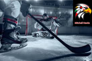 Photograph of a hockey player shooting on a goalie