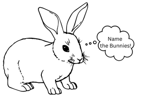 Black and white illustration of a rabbit with a thought bubble containing the words Name the bunnies