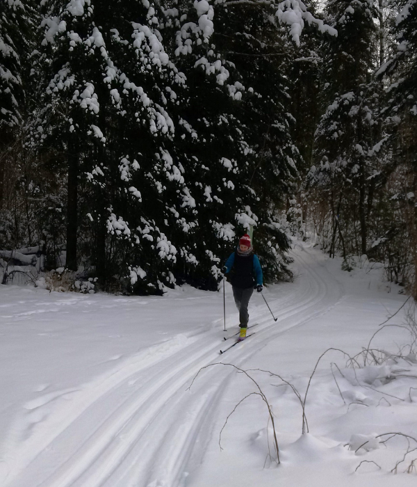 woman cross country skiing through trees