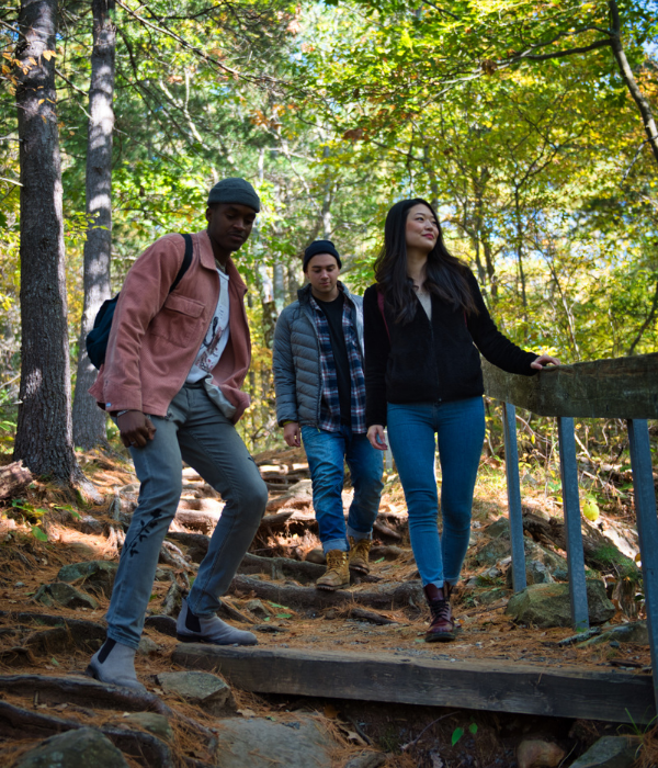 Three people walking on a trail through a forest