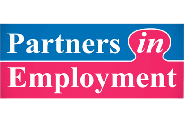 blue and pink puzzle-shaped blocks with the words Partners in Employment
