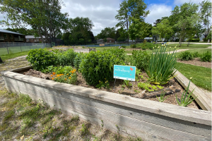 Photograph of a raised garden bed