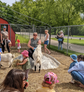 A lot of people inside an park animal enclosure