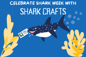 Illustration of a shark taking a bite out of a library card - the words Celebrate Shark Week with Shark Crafts