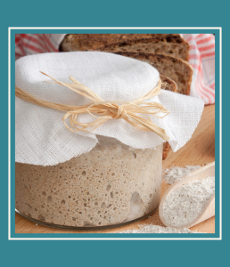 photograph of a covered glass container of sourdough starter