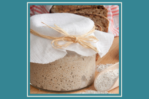 photograph of a covered glass container of sourdough starter