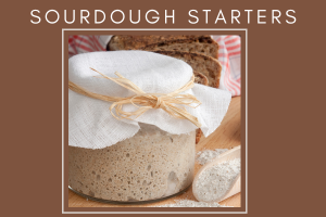 photograph of a covered glass dish with sourdough starter inside