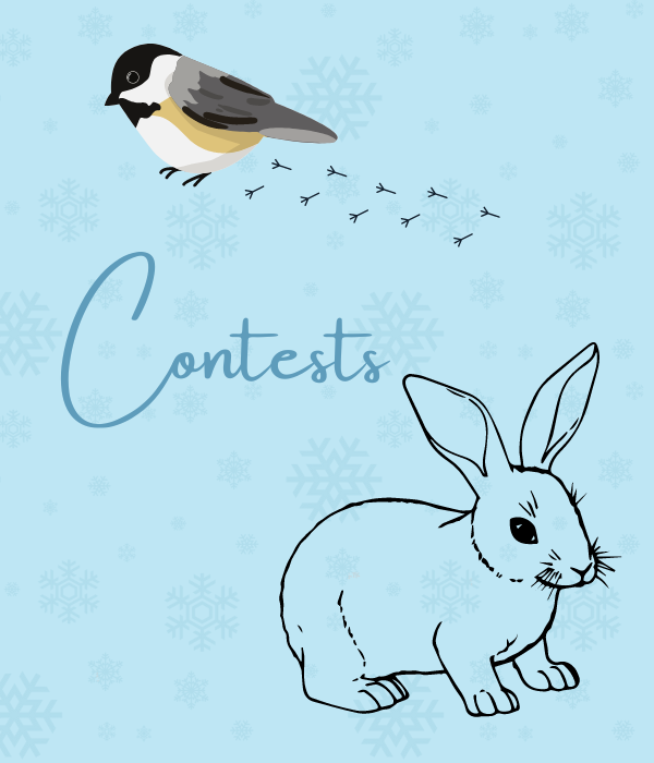A chickadee and rabbit on a blue background with the words Contests