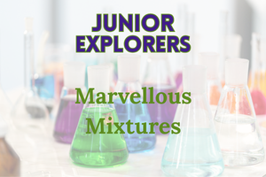 photograph of beakers with various colours of liquids inside